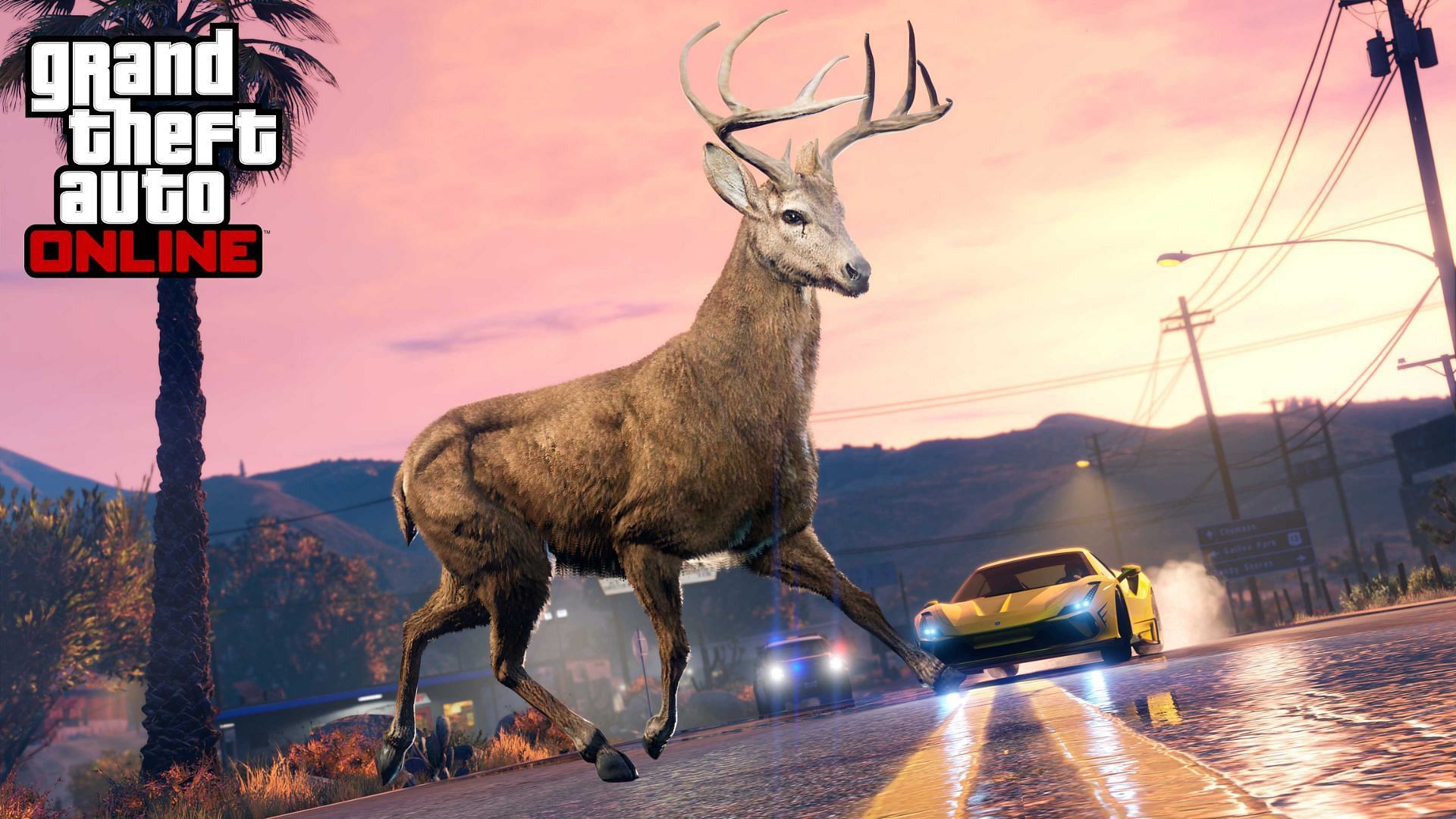 Animals were added to the game recently (Image via Rockstar Games)